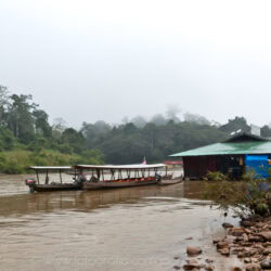 Malesia, escursione all'interno del Taman Negara National Park.