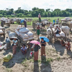 Myanmar ex Birmania, fiume Irrawaddy, una sosta durante il lungo viaggio in barca verso Bagan.