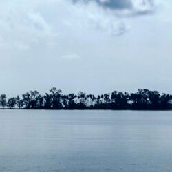 Un'isola bassa coperta di alberi sul mare piatto, vista dal traghetto.